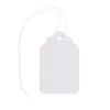 Paper String Tags Large - TA68W