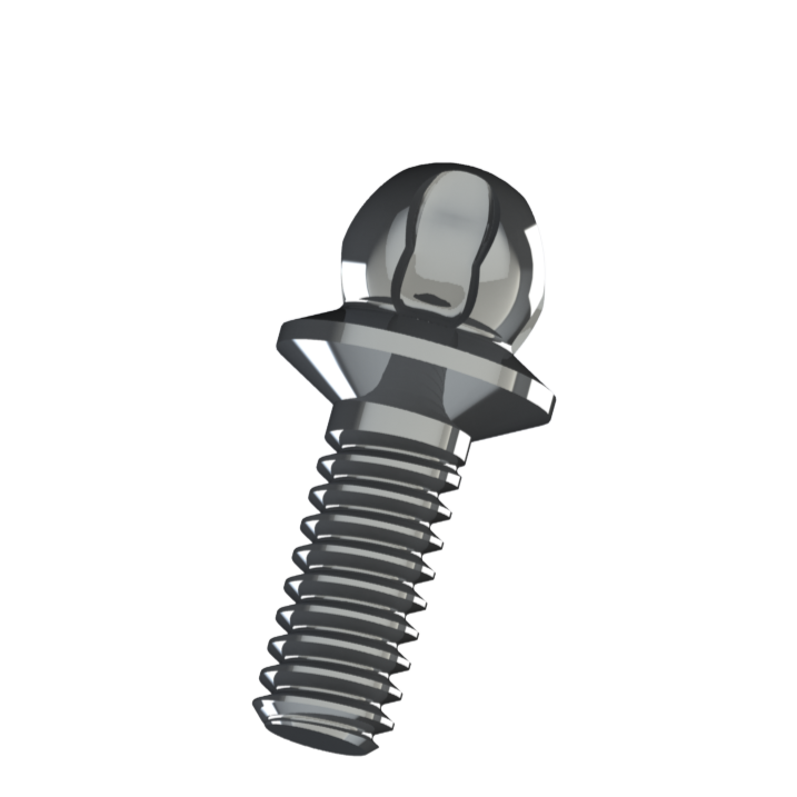 BHS30 XS Screw