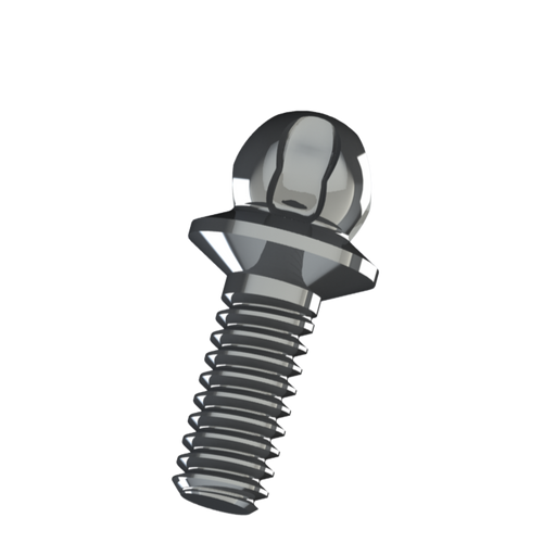 BHS30 XS Screw