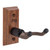 Black Walnut
