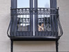 Light-Iron Dove Balcony
