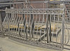 IRON DOVE QUEEN BALCONY