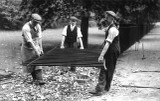 The Forgotten Role of Railings: From Safety to Storytelling