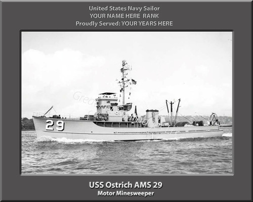 USS Ostrich AMS 29 Personalized Ship Canvas Print
