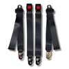 1953-1967 Triumph TR2, Driver & Passenger Seat Belt Kit - Seatbelt Planet