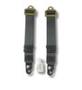 Seat to Floor Tether with Snaphook End Fittings