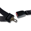 1997-2000 Dodge Dakota, Crew Cab, Rear Driver, Seat Belt - Seatbelt Planet view 2