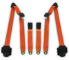 1997-2006 Jeep Wrangler TJ and LJ, Rear Driver & Passenger Seat Belt Kit - Seatbelt Planet