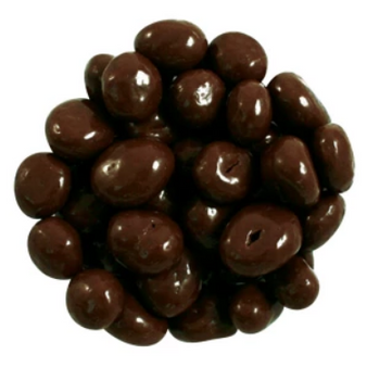 SAVOR Dark Chocolate Jumbo Raisins 8oz