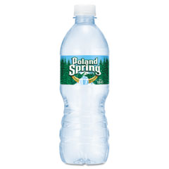 Poland Spring Water 16.9oz