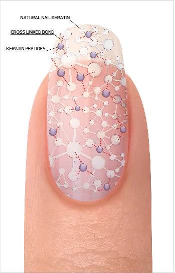 Morgan Taylor Daily Elixir - Nail Treatment - Retreat Skin & Beauty