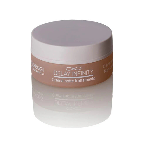 Vagheggi Delay Infinity Night Cream 50ml Vagheggi Delay Infinity Night Cream 50ml