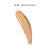 Vagheggi Phytomakeup Illuminating Cover Touch — Fluid Concealer 5 ml
