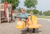 Nectar-the-bee-spring-rider-2-2