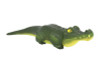 Alligator-1000x630-1