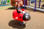 Scarlet-the-ladybug-Spring-Rider-2-2