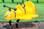 NECTAR-THE-BEE-SPRING-RIDER-THUMBNAIL