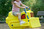 Bulldozer Spring Rider