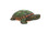Tucson-Turtle-Climber
