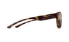 Smith Eastbank Sunglasses -Matt Tortoise/ ChromaPop Polarized Brown