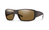 Matte Tortoise/ChromaPop Polarized Brown