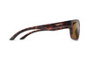 Smith Basecamp Sunglasses -Matte Tortoise / ChromaPop Polarized Brown