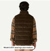 Patagonia Men's Reversible Cotton Down Vest
