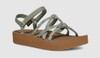 on P.O.  '26 Season
Seagrass Multi