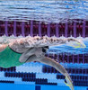TYR BlackOps 140 EV Racing Goggle