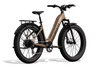 Aventon Aventure 3 Step-Through E Bike