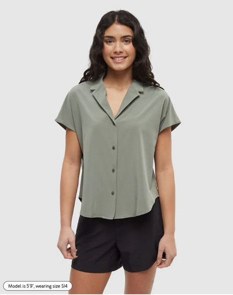 on P.O. '26 Season
****Agave Green Tentree we have  Light Moss