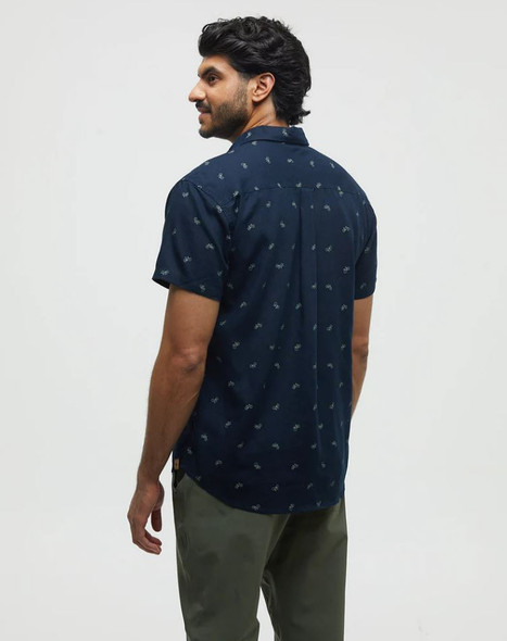 midnight blue bike around sunray