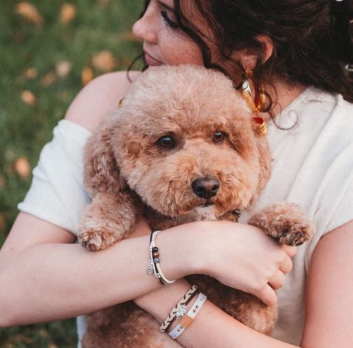 k'lani Paws Hair Tie Bracelet
