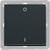 Switch 2-channel light BJ63x63 anthracite