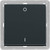 Switch 2-channel BLE light BJ63x63 anthracite