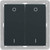 Switch 4-channel BLE light BJ63x63 anthracite