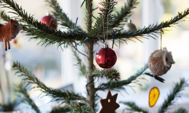 DIY Alternatives to Traditional Christmas Trees