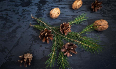 DIY Christmas Decorations: Pine Cones and Walnuts