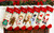 Elf Personalized Christmas Stocking