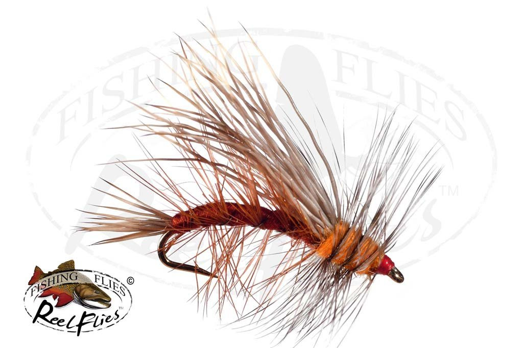 Stimulator Dry Fly Selection, Stonefly Dry Fly, Stimulator Dry Fly