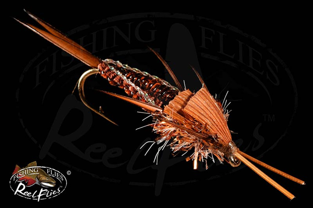 Brown Woven Stonefly