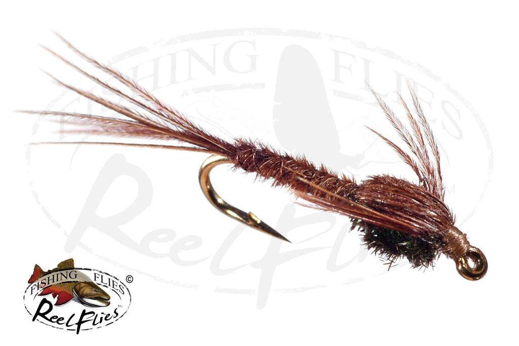 6 Pheasant Tail Nymph (PTN) Flies For Trout Fishing - Assorted Sizes 10 To 14 By Salmoflies