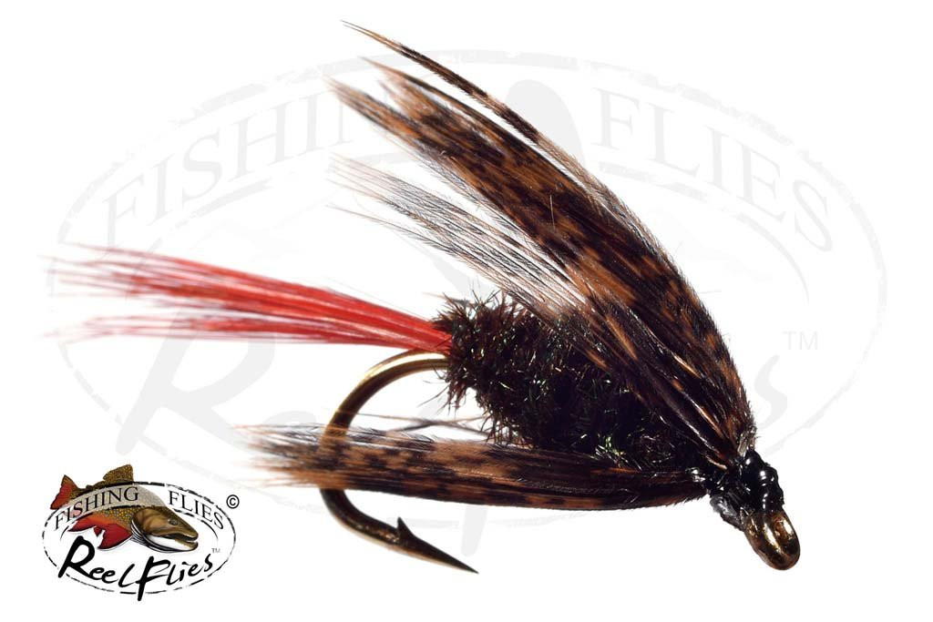 Brown Hackle Peacock - RF-6513