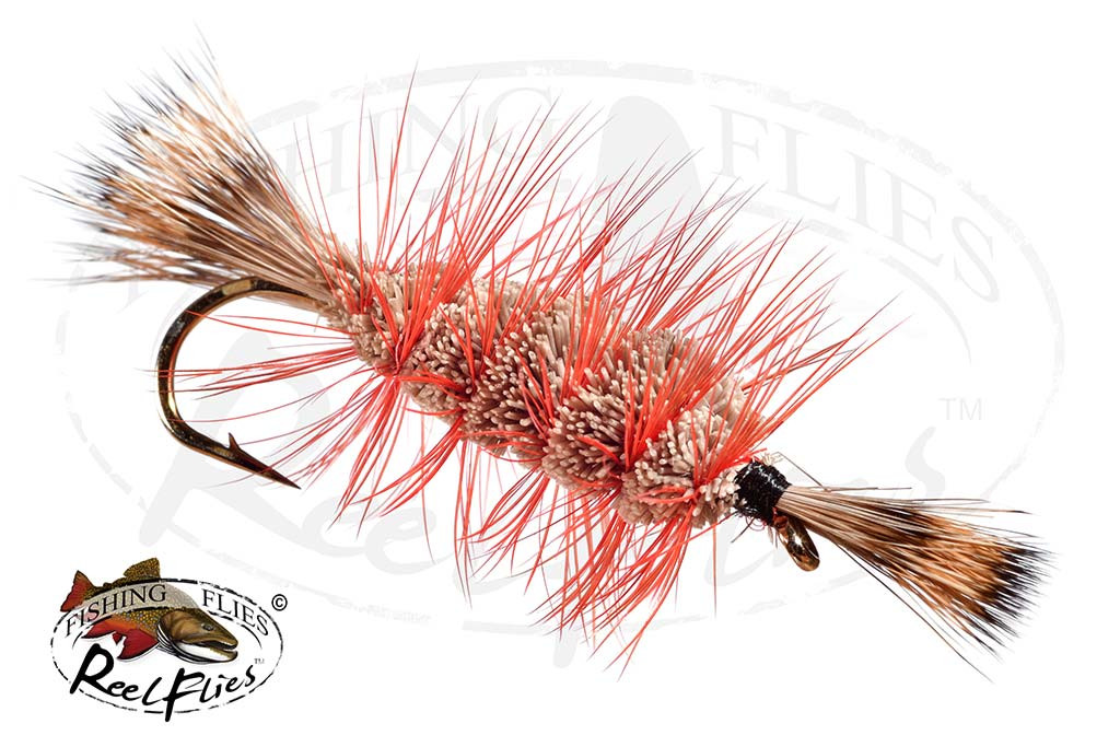 Natural Bomber Orange Hackle White Head & Tail