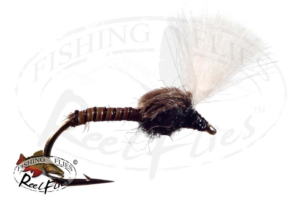 CDC Midge Pupa
