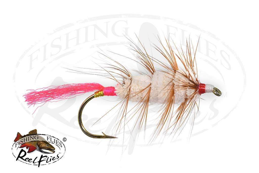 Buck Bug White Pink Tail
