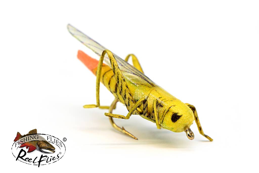 Realistic Yellow Hot Butt Hopper