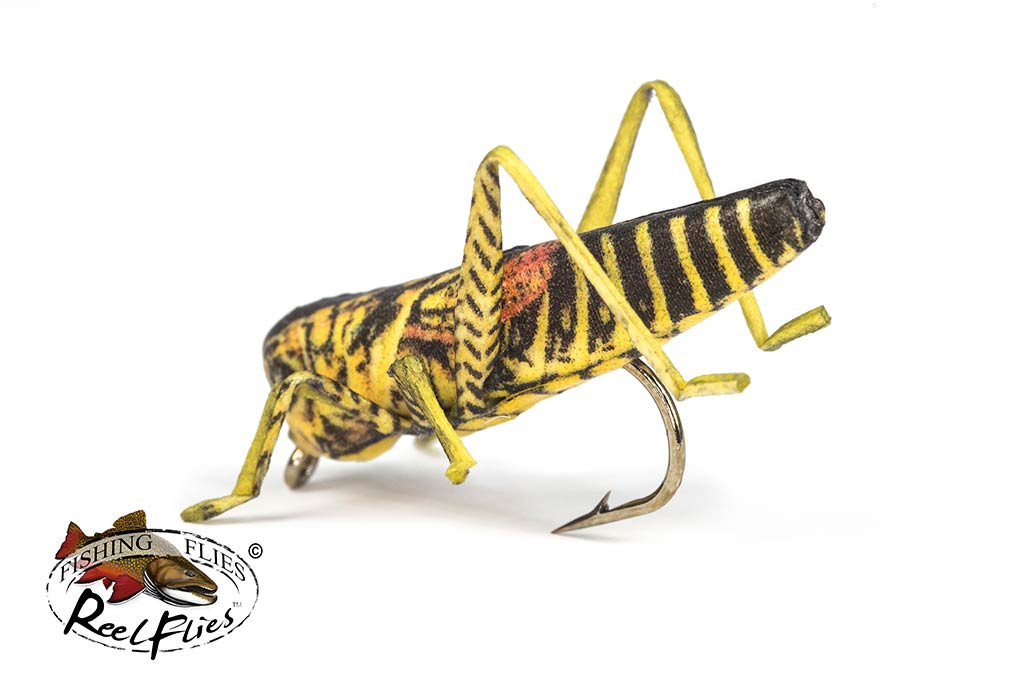 Realistic Yellow and Brown Hopper