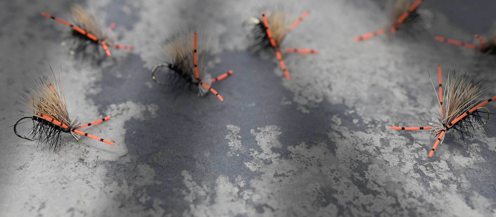 Caddis Dry Flies