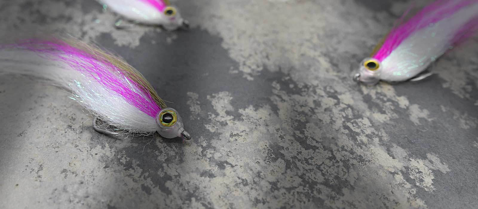 Baitfish & Shiners